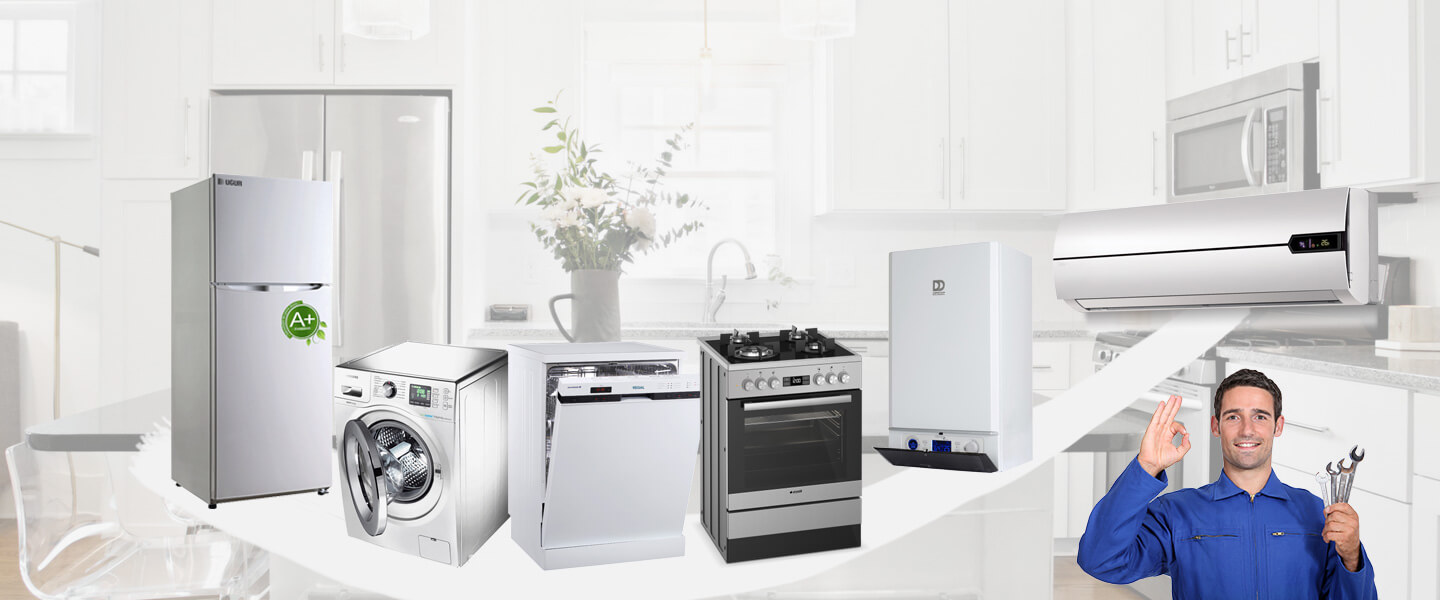Kale Electrolux Servisi